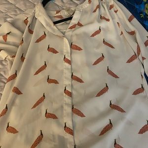 LOFT - Sheer Peahen Blouse - 3/4 sleeve